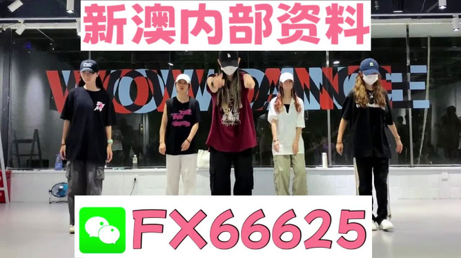 新奧天天免費(fèi)資料大全——探索與優(yōu)化的SEO之旅，新奧天天免費(fèi)資料大全，SEO探索與優(yōu)化之旅