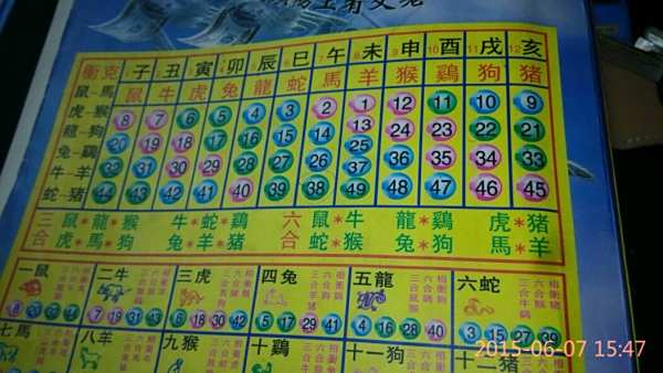 揭秘12生肖開獎記錄，歷史數(shù)據(jù)與趨勢分析，揭秘生肖開獎記錄，歷史數(shù)據(jù)與趨勢深度分析