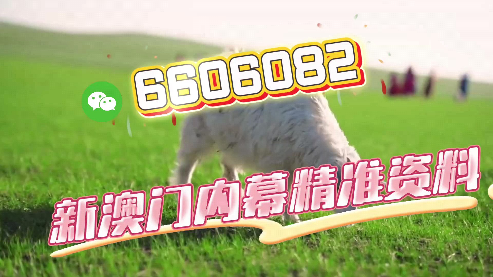 澳門三肖三碼期期準(zhǔn)免費(fèi)——揭秘真相與秘密，澳門三肖三碼期期準(zhǔn)揭秘，真相與秘密大揭秘