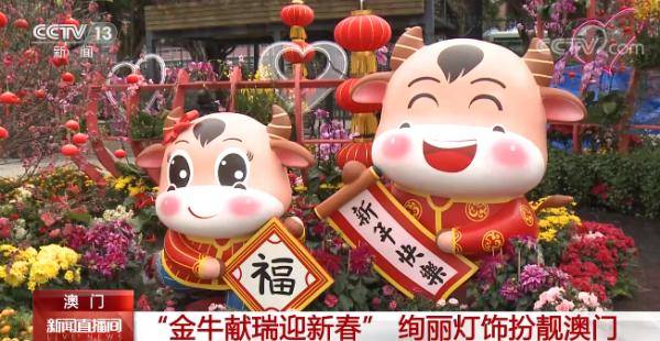 澳門金牛網(wǎng)金牛版論壇——探索與解析，澳門金牛網(wǎng)金牛版論壇，深度探索與解析