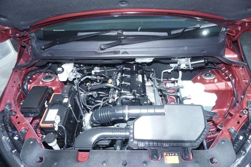 王中王四肖選一肖期期誰，揭秘彩票背后的秘密，揭秘彩票背后的秘密，王中王四肖選一肖期期的真相