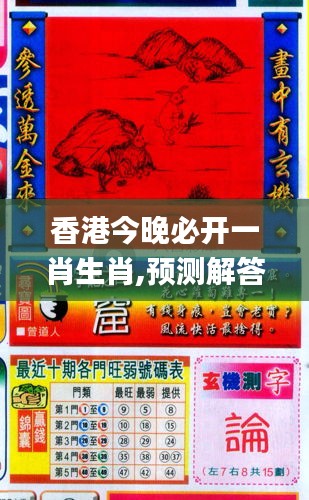 香港與彩王中王精準一肖，揭秘彩票背后的秘密，揭秘彩票背后的秘密，香港與彩王中王精準一肖探究