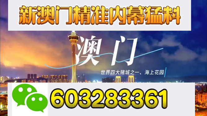 新澳門開獎結果，探索與解析，新澳門開獎結果深度解析與探索