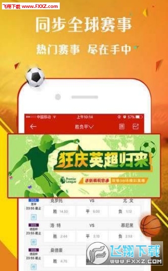 揭秘李天師平特一肖王中王的神秘面紗，李天師平特一肖王中王揭秘，神秘面紗下的真相探索