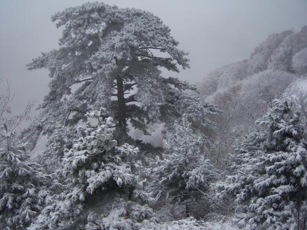 華山二日游最佳攻略方式，華山二日游最佳攻略攻略詳解