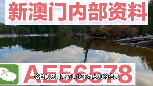 探索未來，2025新澳最新版精準(zhǔn)特色解析，探索未來，揭秘新澳最新版精準(zhǔn)特色解析（2025版）
