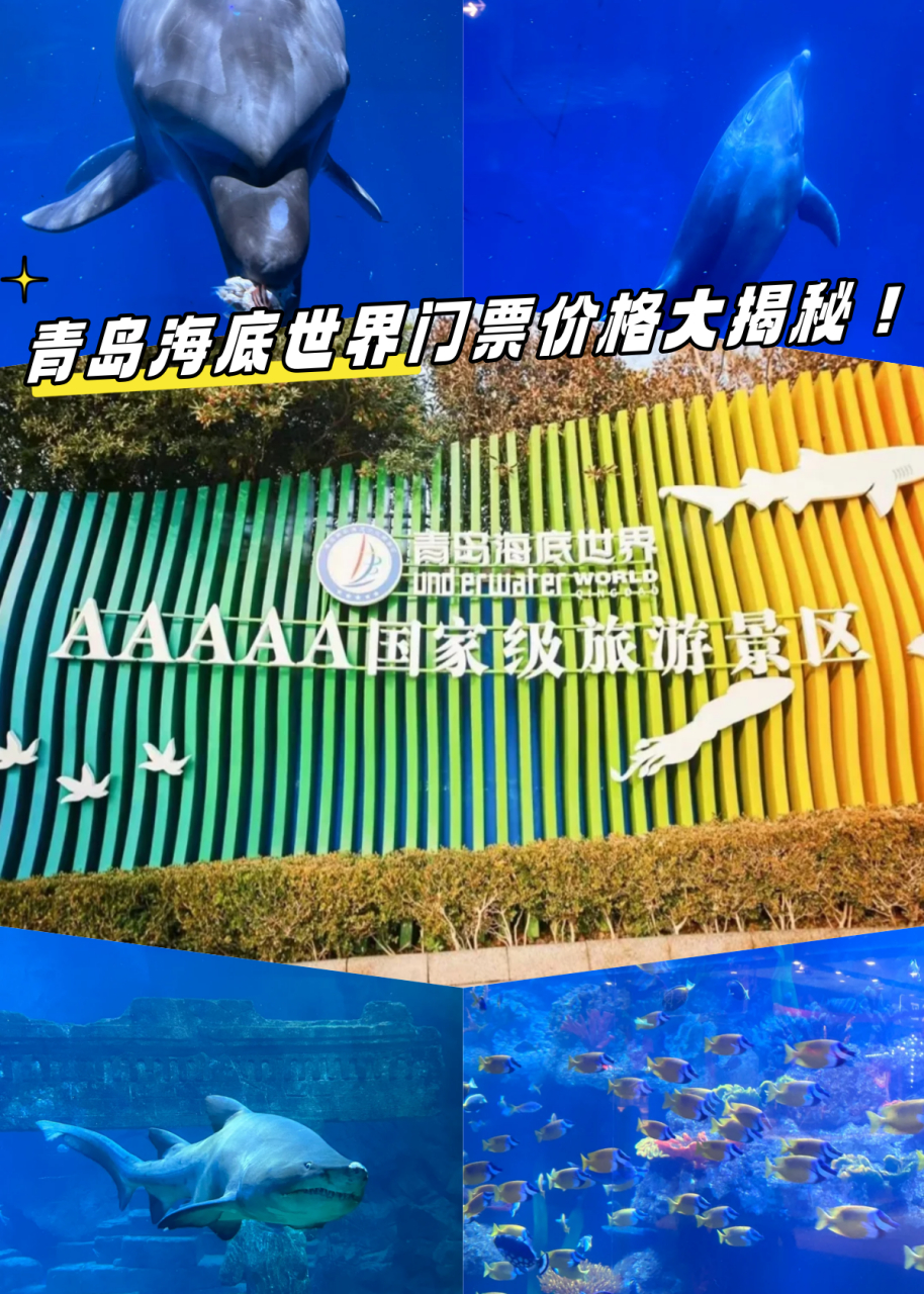青島海底世界門票是否免費(fèi)？一篇文章帶你了解全部信息，青島海底世界門票全面解析，免費(fèi)與否？一篇文章告訴你答案！
