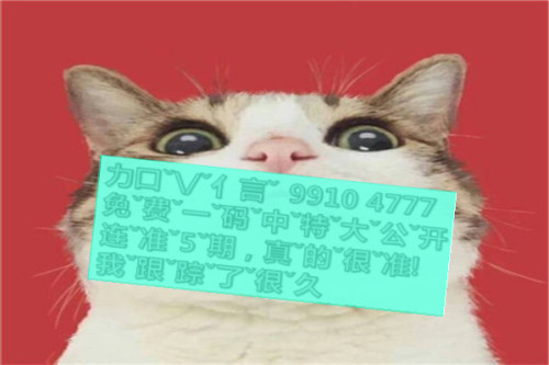 SEO優(yōu)化策略探討 第9頁(yè)