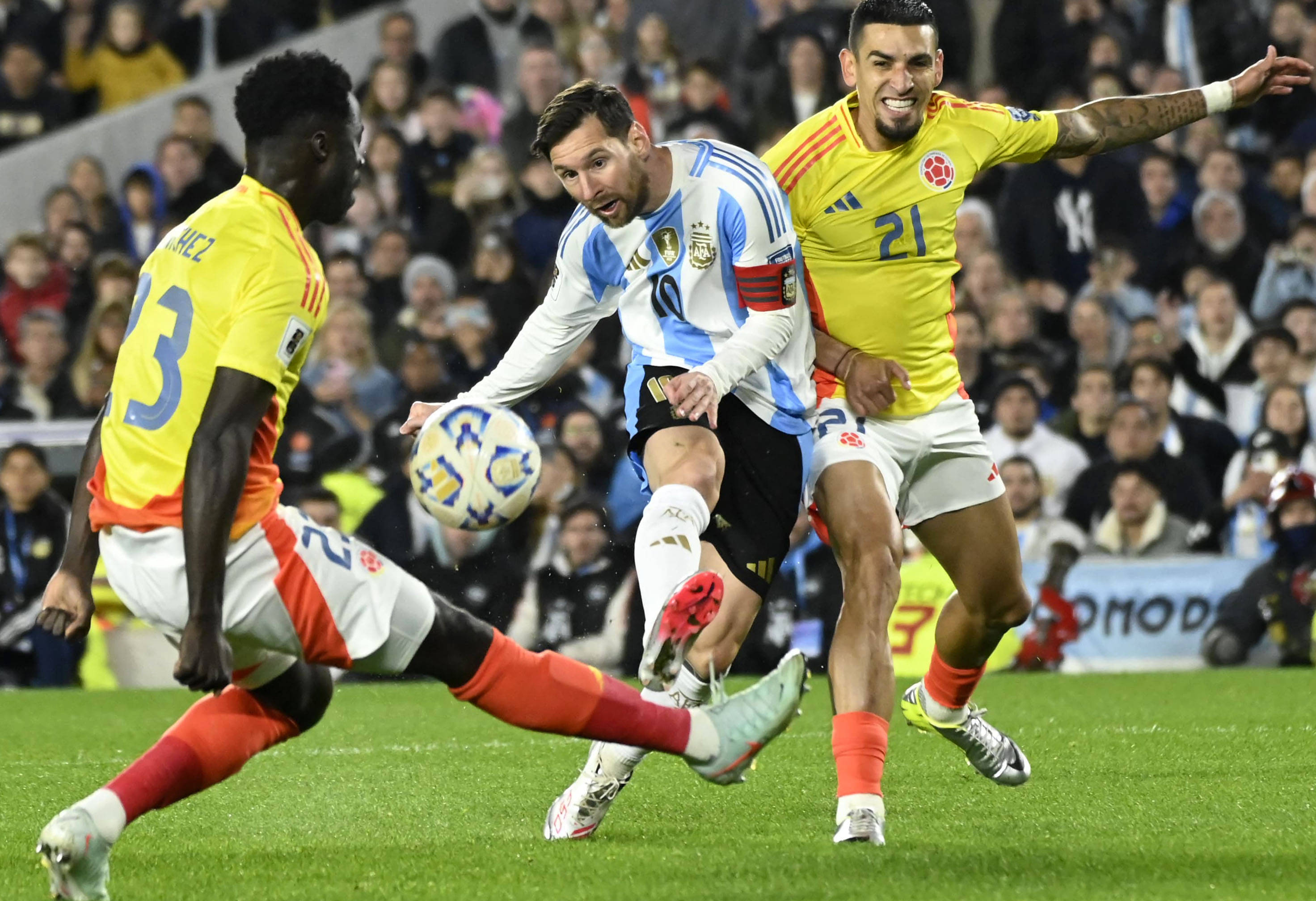 王中王一肖，揭秘碼一特一中的奧秘，揭秘王中王一肖特一中奧秘的真相