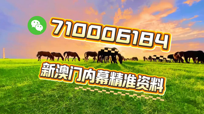 澳門今晚必開一肖一特，探索生肖與特碼預(yù)測的背后秘密，揭秘澳門今晚生肖與特碼預(yù)測背后的秘密