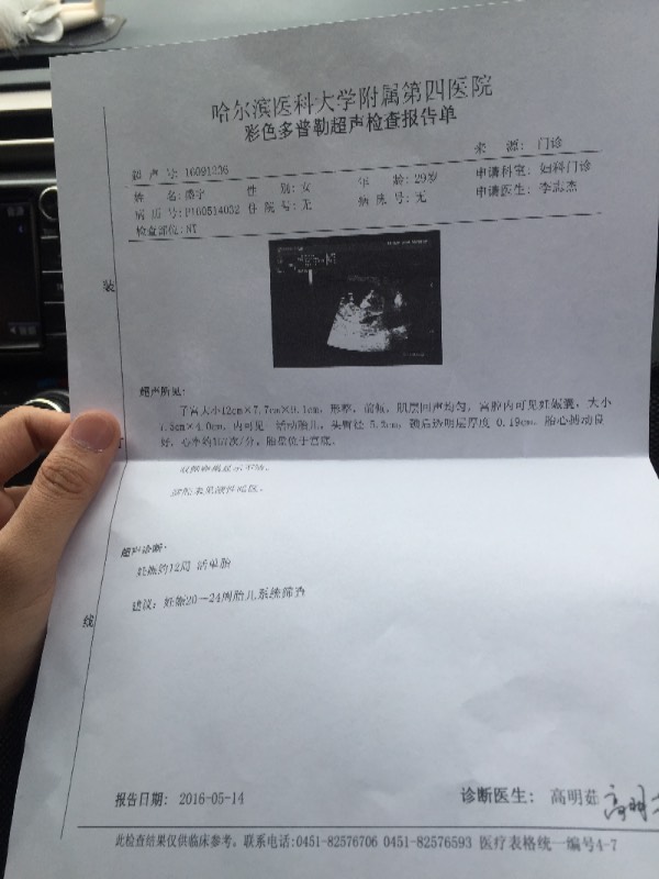 深入了解NT結(jié)果，解析與應(yīng)用，深入了解NT結(jié)果解析與應(yīng)用指南