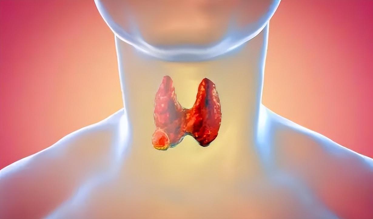 為什么醫(yī)生最怕O型血？探究O型血的特殊之處，探究O型血的特殊之處，醫(yī)生為何對O型血有所顧忌？