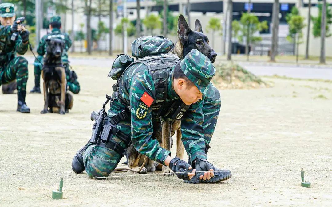 南部戰(zhàn)區(qū)，軍事力量與戰(zhàn)略發(fā)展的核心焦點，南部戰(zhàn)區(qū)，軍事力量布局與戰(zhàn)略發(fā)展的核心焦點