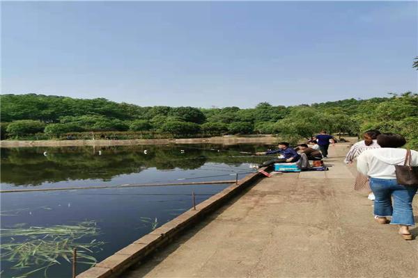 長(zhǎng)沙市內(nèi)一日游，探尋千年古都的魅力之旅，長(zhǎng)沙一日探秘千年古都之旅