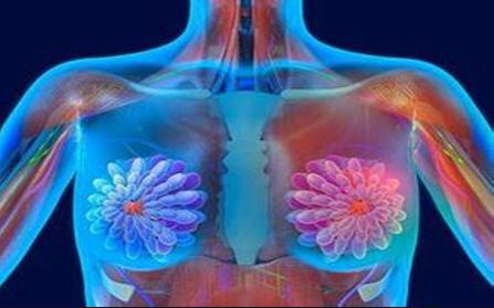 女人得肺癌的前兆，早期信號(hào)與預(yù)防策略，女人肺癌早期信號(hào)及預(yù)防策略，識(shí)別前兆，守護(hù)健康