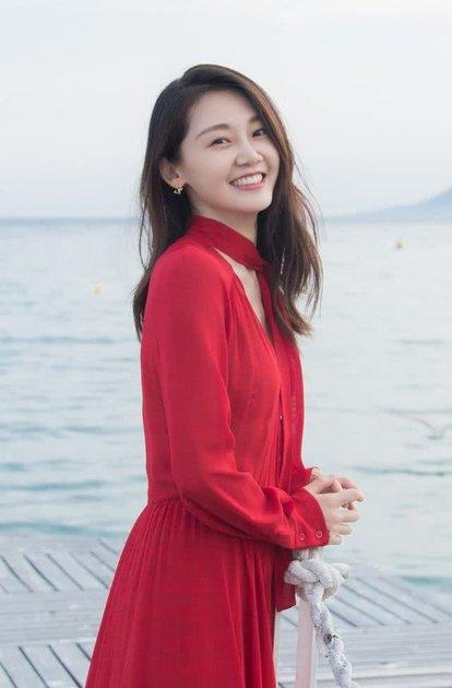 苗苗演過(guò)的電視劇，演藝之路的璀璨之星，苗苗演藝之路，電視劇中的璀璨之星