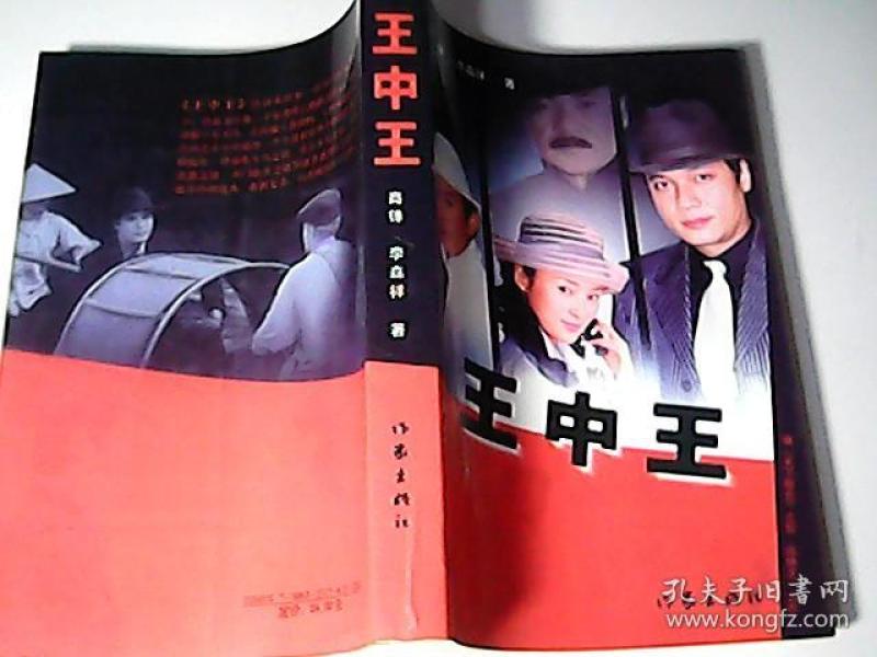 王中王資料一門(mén)肖中，深度解析與探索，王中王資料一門(mén)肖詳解，深度解析與探索