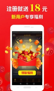 關(guān)于王中王中特免費(fèi)一肖的探討，王中王中特免費(fèi)一肖，深度探討與解析