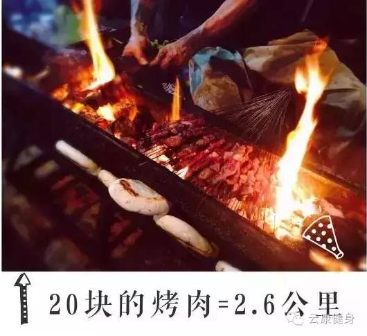 王中王313期指一生肖——揭秘生肖運(yùn)勢(shì)與人生軌跡的獨(dú)特聯(lián)系，揭秘生肖運(yùn)勢(shì)與人生軌跡的獨(dú)特聯(lián)系，王中王313期指一生肖詳解