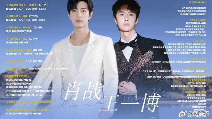 王中王一肖資料詳解，王中王一肖資料大全解析