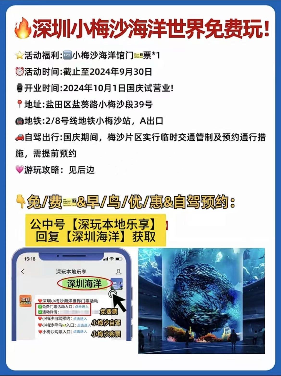 小梅沙海洋世界門票攻略，探索神秘海底世界的邀請函，探索小梅沙海洋世界，門票攻略與神秘海底之旅邀請函