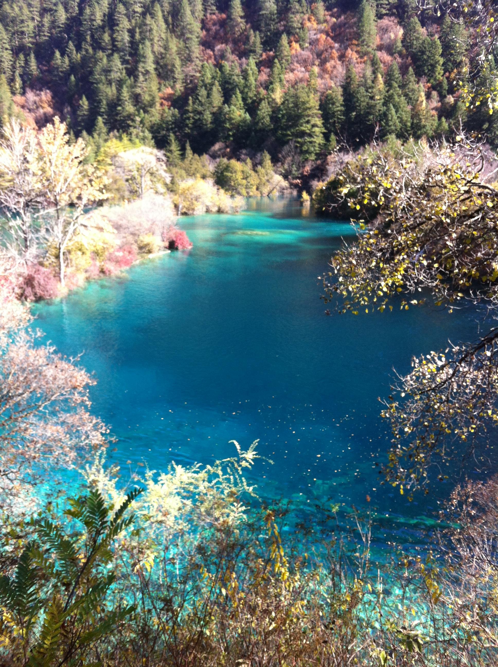 九寨溝旅游開放情況解析，現(xiàn)在可以去旅游了嗎？，九寨溝旅游開放情況解析，現(xiàn)在是否適合前往旅游？