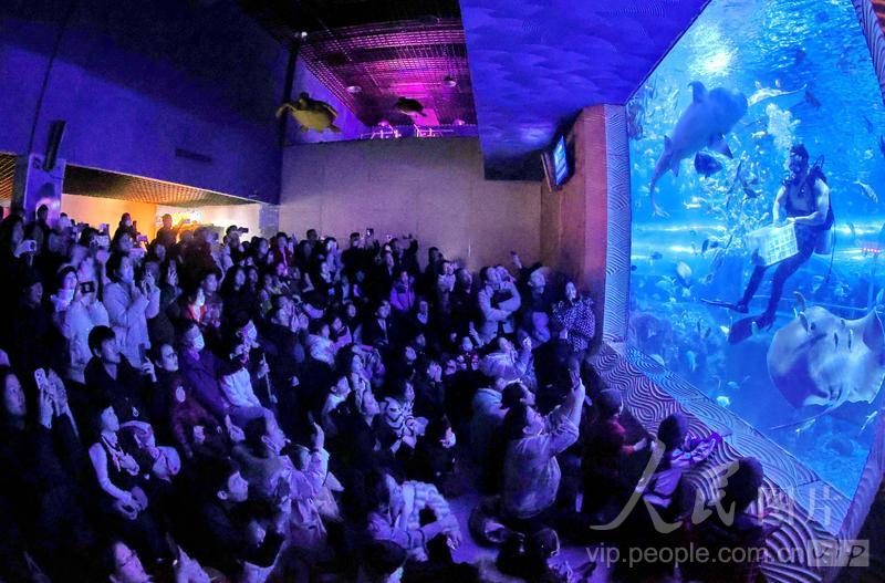 新澳2025今晚開獎結(jié)果揭曉，期待與驚喜的交匯點，新澳2025今晚開獎結(jié)果揭曉，期待與驚喜的碰撞