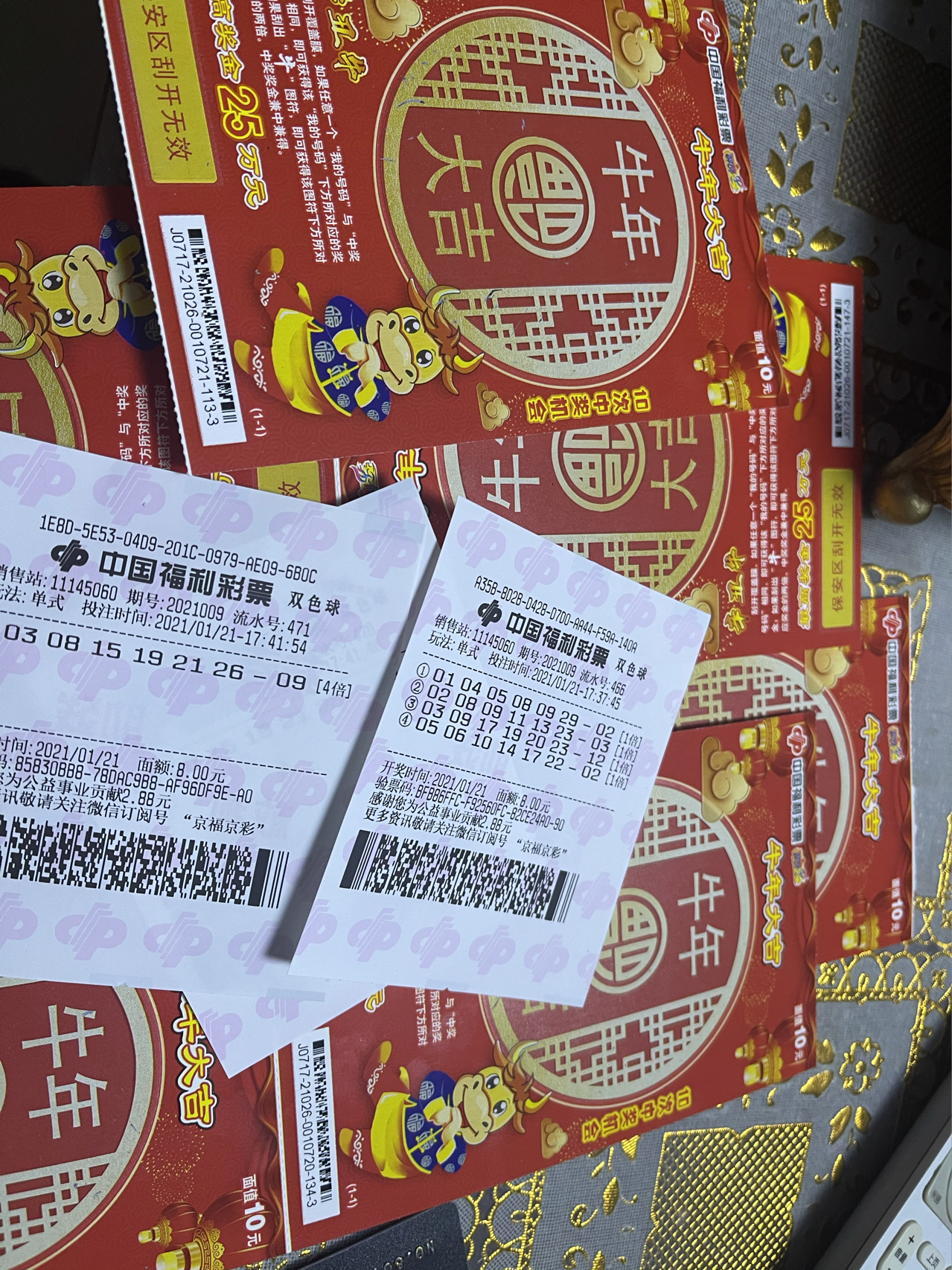 香巷平特一肖王中王，揭秘背后的秘密與SEO策略，揭秘香巷平特一肖王中王的秘密與SEO策略