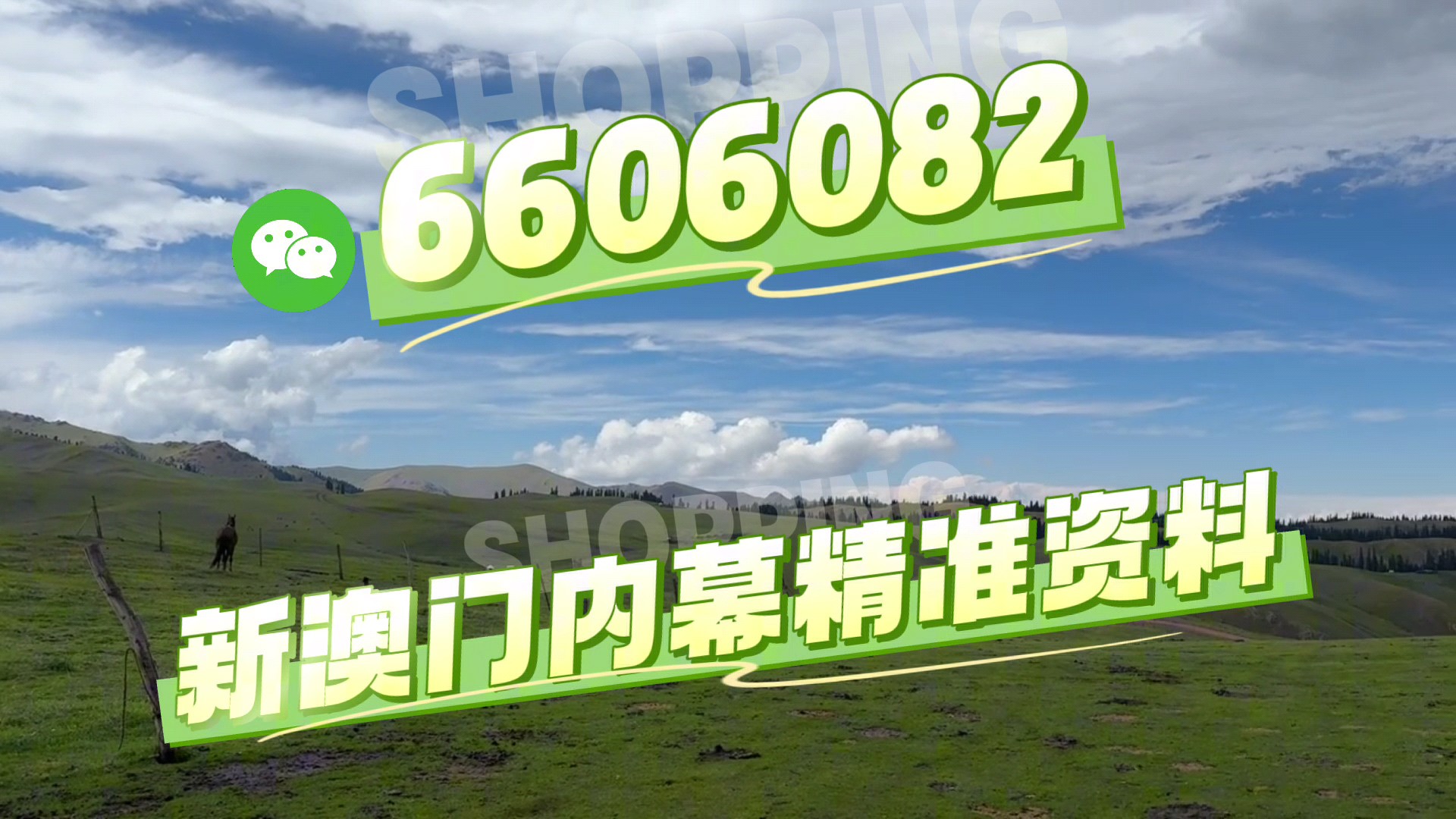 澳門今晚必開一肖一特，深度解析與預測，澳門今晚生肖特碼深度解析與預測，一肖一特必開趨勢探討
