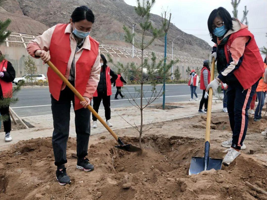 天下彩天天空彩資料免費(fèi)大全管家，探索與解析，天下彩天天空彩資料大全管家，深度探索與解析