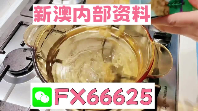 新澳一碼料，深度解析與SEO優(yōu)化策略，新澳一碼料深度解析與SEO優(yōu)化策略指南