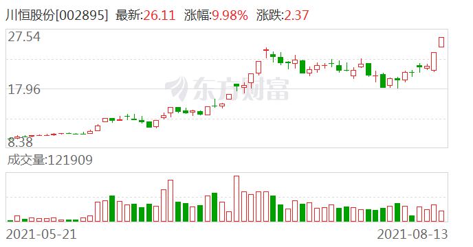 川恒股份股票，深度解析與發(fā)展前景展望，川恒股份股票深度解析與未來展望