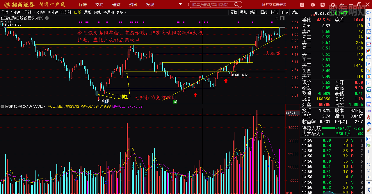 仙琚制藥股票（代碼，002332）深度解析，仙琚制藥股票深度解析（代碼，002332）