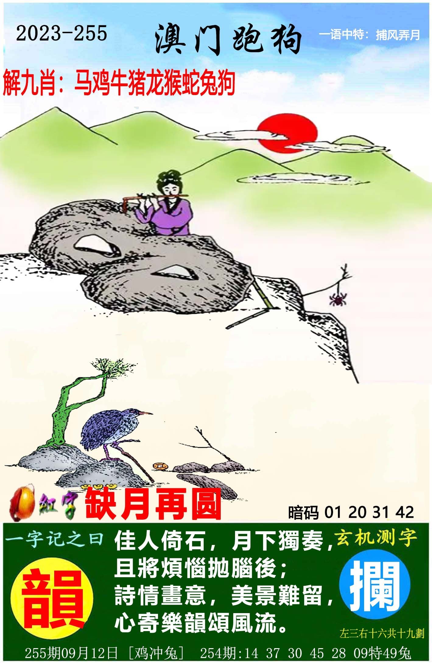 澳門六開獎(jiǎng)結(jié)果特馬師——探索與解析，澳門六開獎(jiǎng)結(jié)果特馬師解析與探索