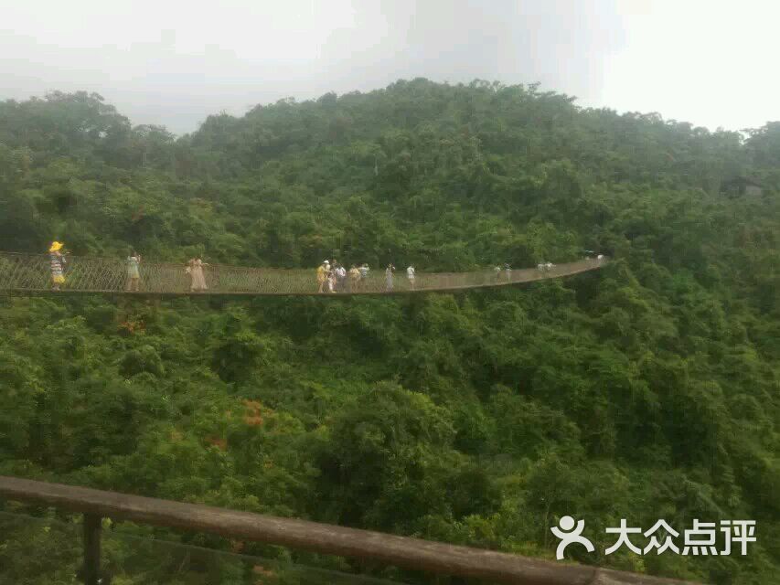 亞龍灣熱帶天堂森林公園景點介紹——探秘?zé)釒ЬG意盎然的自然奇觀，亞龍灣熱帶天堂森林公園探秘，熱帶綠意盎然的自然奇觀景點介紹