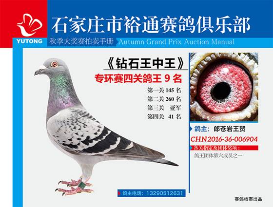 王中王一期一肖特中獎，揭秘彩票背后的秘密與策略，揭秘彩票背后的秘密與策略，王中王一期一肖特中獎解析