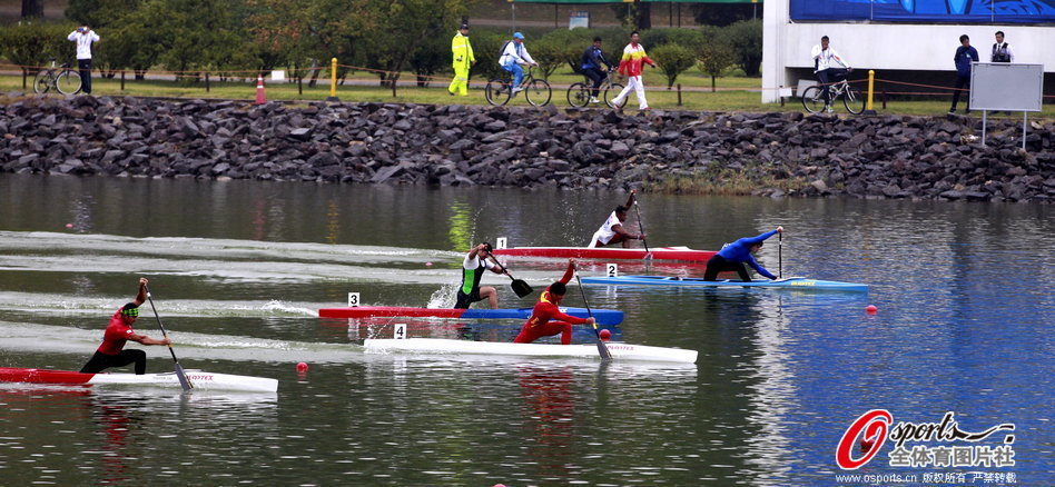王中王一肖一馬期期中特，深度解析與SEO優(yōu)化策略，王中王一肖一馬期期中特深度解析與SEO優(yōu)化策略指南