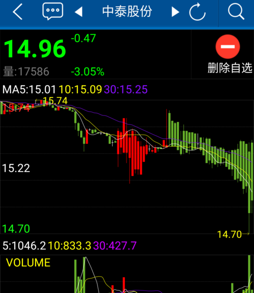 中泰股份股吧深度解析，投資潛力與未來(lái)發(fā)展展望，中泰股份股吧解析及投資潛力與未來(lái)發(fā)展展望