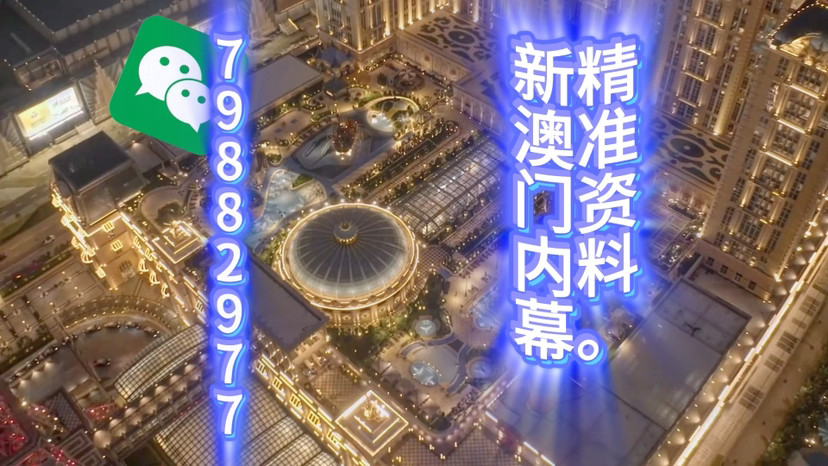 新澳門精準(zhǔn)三肖三碼中特，探索澳門博彩文化的獨(dú)特魅力，澳門博彩文化獨(dú)特魅力探索，精準(zhǔn)三肖三碼中特