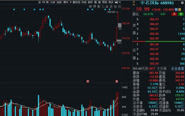 半導(dǎo)體龍頭股票，市場趨勢與投資前景分析，半導(dǎo)體龍頭股票投資前景及市場趨勢深度解析