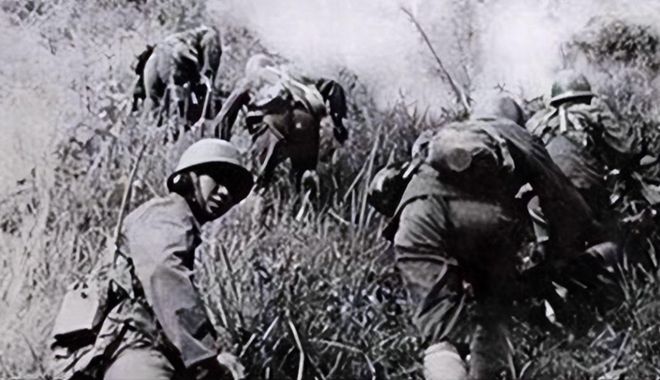 對(duì)越自衛(wèi)反擊戰(zhàn)，歷史回顧與意義解析，對(duì)越自衛(wèi)反擊戰(zhàn)，歷史回顧與深遠(yuǎn)意義解析