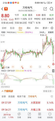 探索002543股吧的獨特魅力與價值，揭秘，002543股吧的獨特魅力與投資價值探討