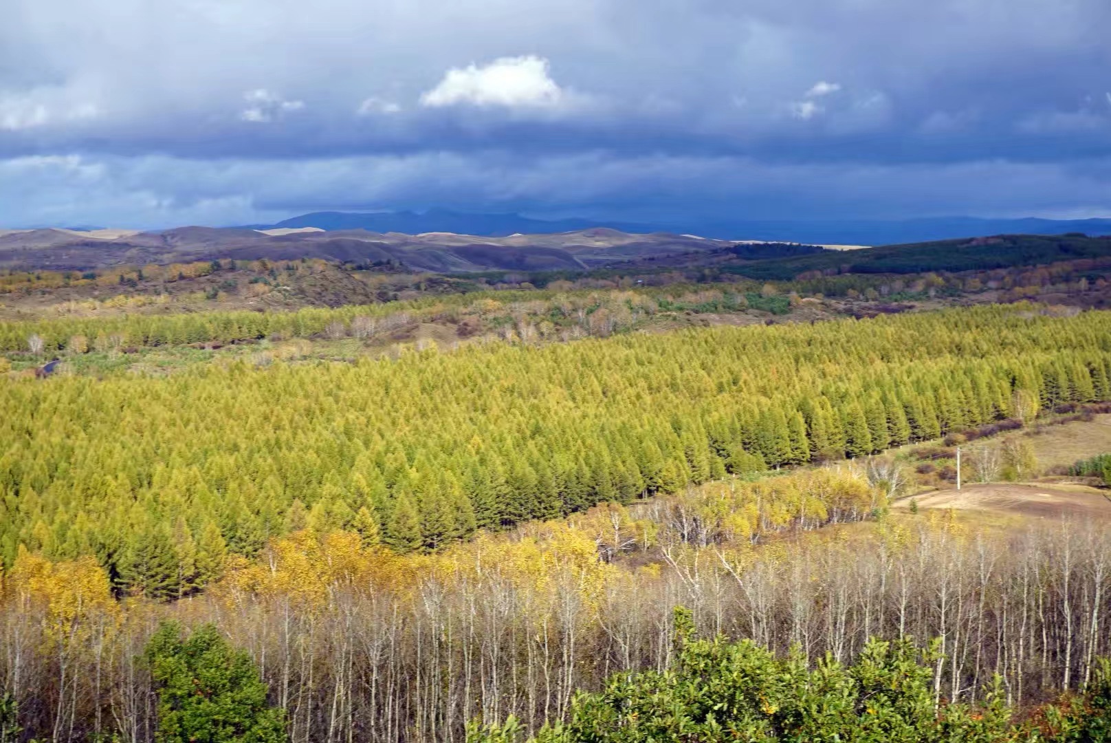 塞罕壩天氣預(yù)報(bào)，洞悉天氣變化，為您的旅行或生活提供精準(zhǔn)信息，塞罕壩天氣預(yù)報(bào)，精準(zhǔn)洞悉天氣變化，為您的出行保駕護(hù)航