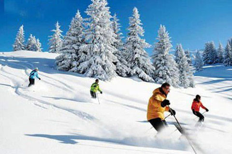 亞布力滑雪場(chǎng)簡(jiǎn)介——領(lǐng)略滑雪勝地的魅力，亞布力滑雪場(chǎng)簡(jiǎn)介，領(lǐng)略滑雪勝地的激情與魅力