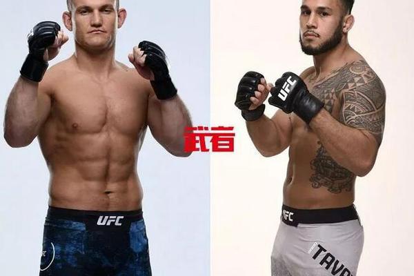 澳門六開獎結果記錄圖，探索彩票背后的秘密，澳門六開獎結果記錄圖揭秘彩票背后的秘密