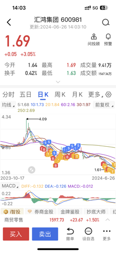 探索匯鴻集團股吧的獨特魅力，深度解析600981股票的價值潛力，匯鴻集團股吧深度探索，解析股票價值潛力與獨特魅力
