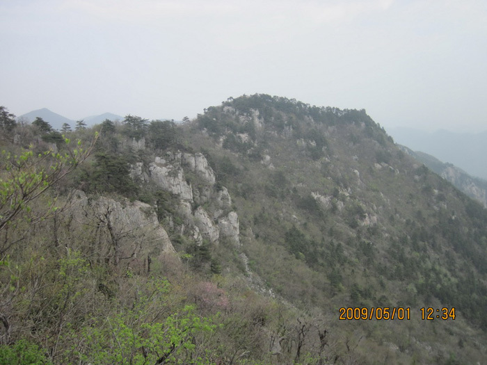 天目山風(fēng)景區(qū)，自然美景的瑰寶，天目山風(fēng)景區(qū)，自然美景的絕美瑰寶