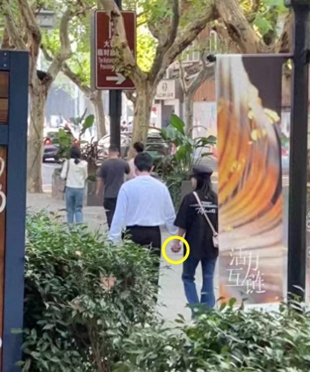 鮑蕾個人資料圖片，深度解析與探索，鮑蕾個人資料圖片，深度探究與揭秘