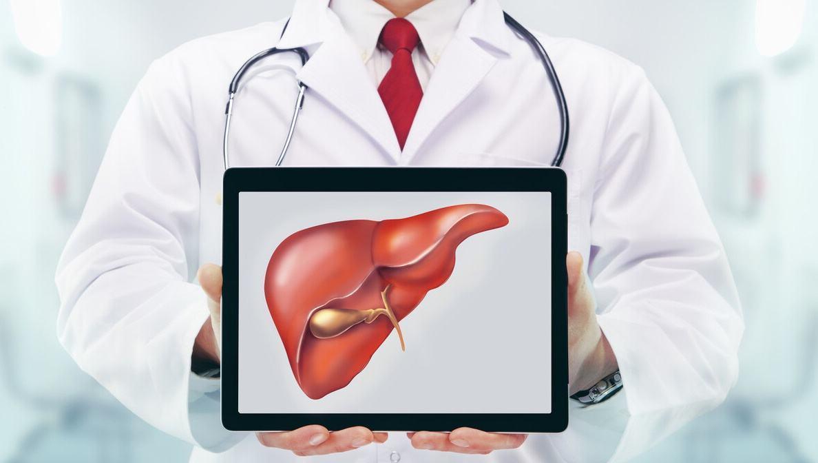 三七粉對肝臟的影響，護(hù)肝還是傷肝？，三七粉對肝臟作用解析，護(hù)肝還是傷肝？