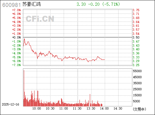 揭秘數(shù)字背后的故事，探索600981的神秘面紗，揭秘數(shù)字之謎，探尋600981的神秘面紗